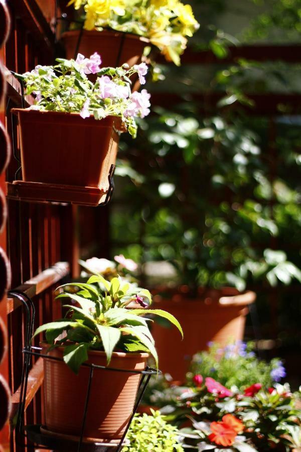 Downtown Garden Isle In Urban Style-Free Parking Διαμέρισμα Βουδαπέστη Εξωτερικό φωτογραφία